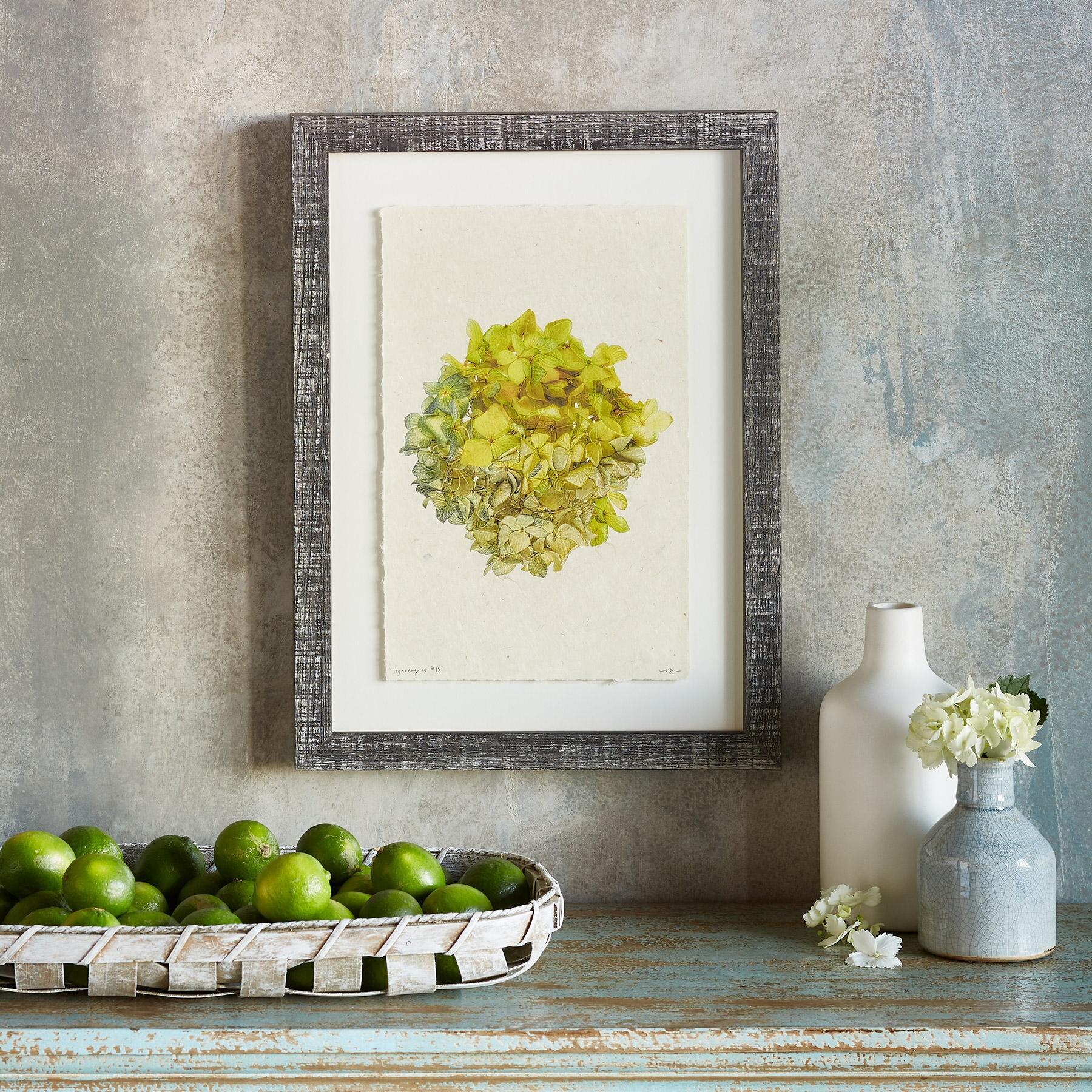 Hydrangea Studies Prints