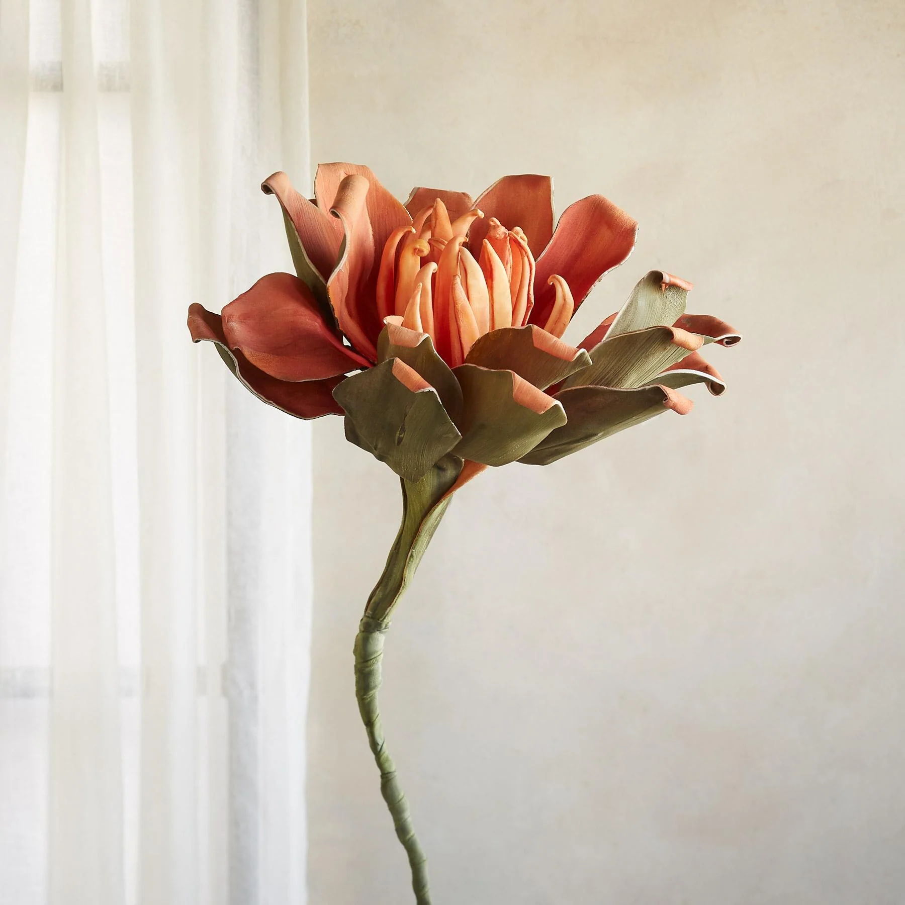 Bountiful Botanicals