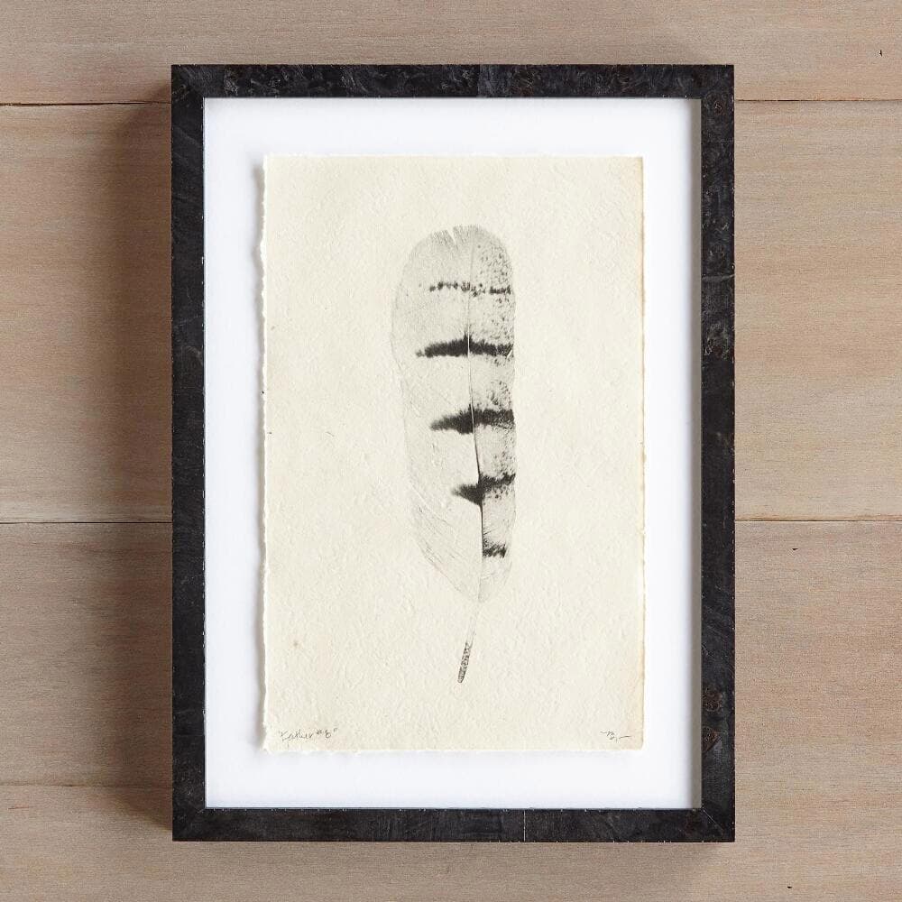 Feather Studies Print