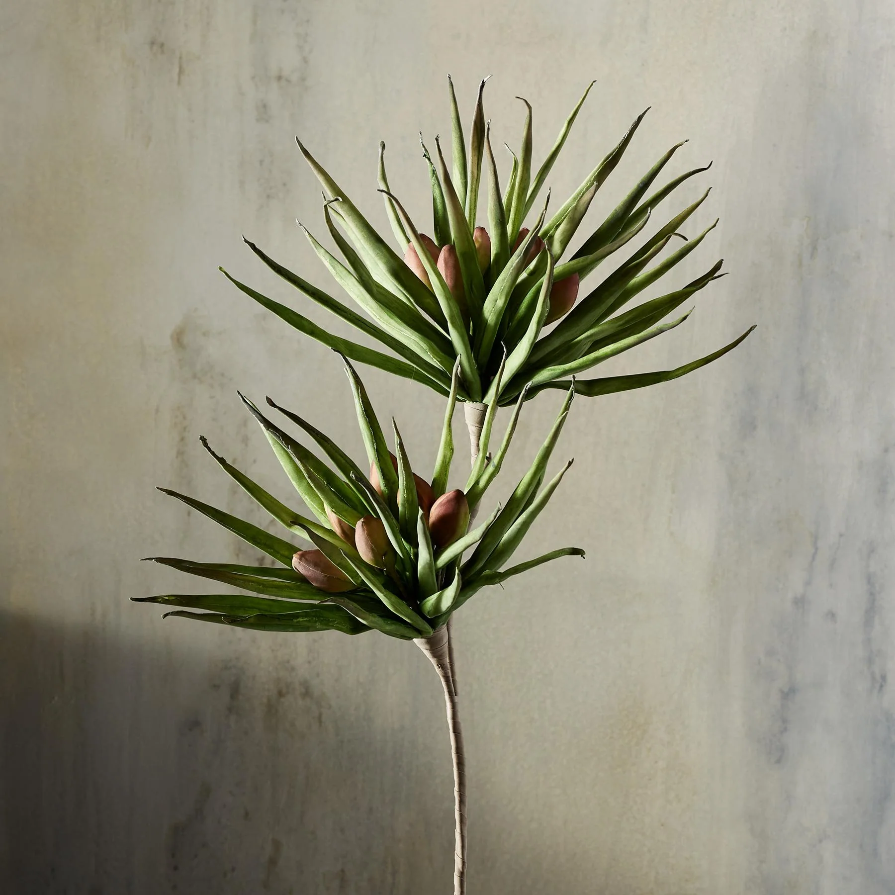 Bountiful Botanicals