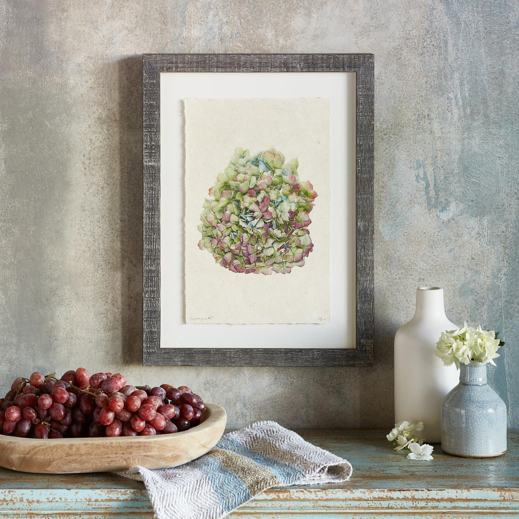 Hydrangea Studies Prints