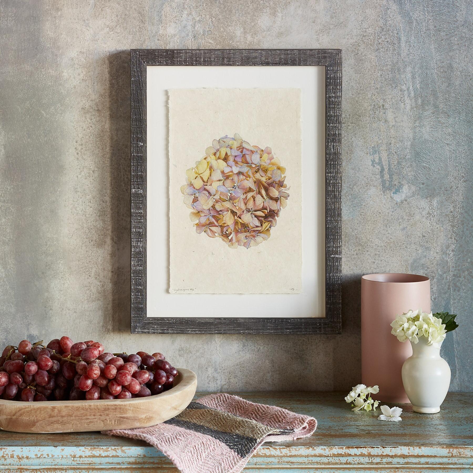 Hydrangea Studies Prints