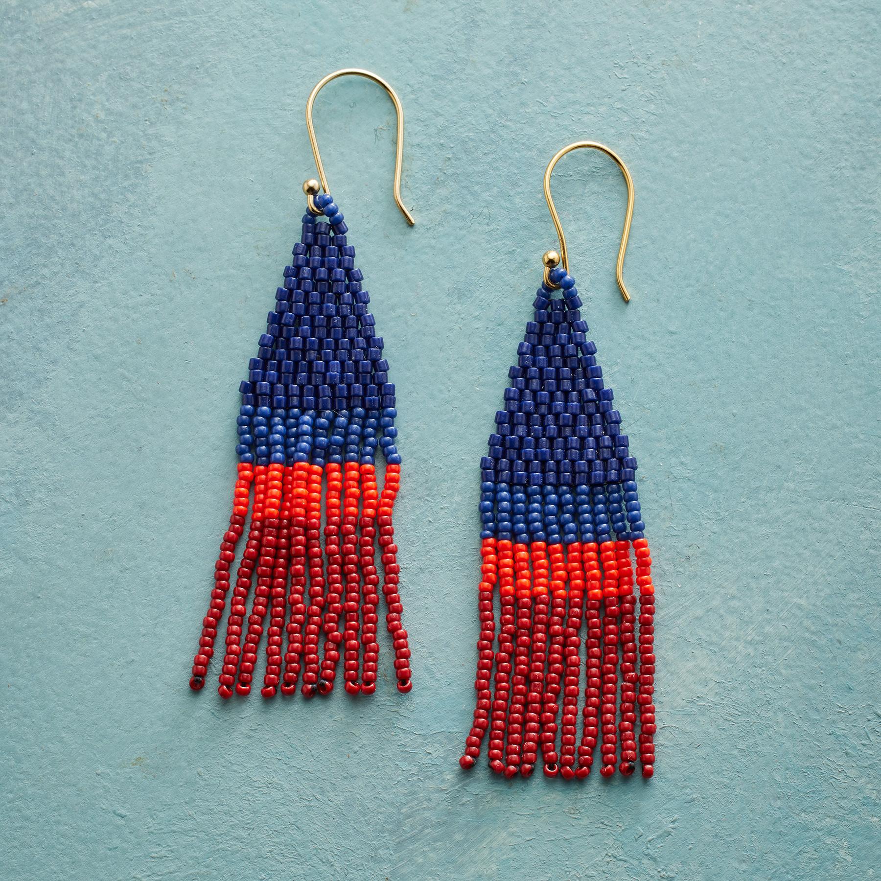 Dancing Fringe Earrings