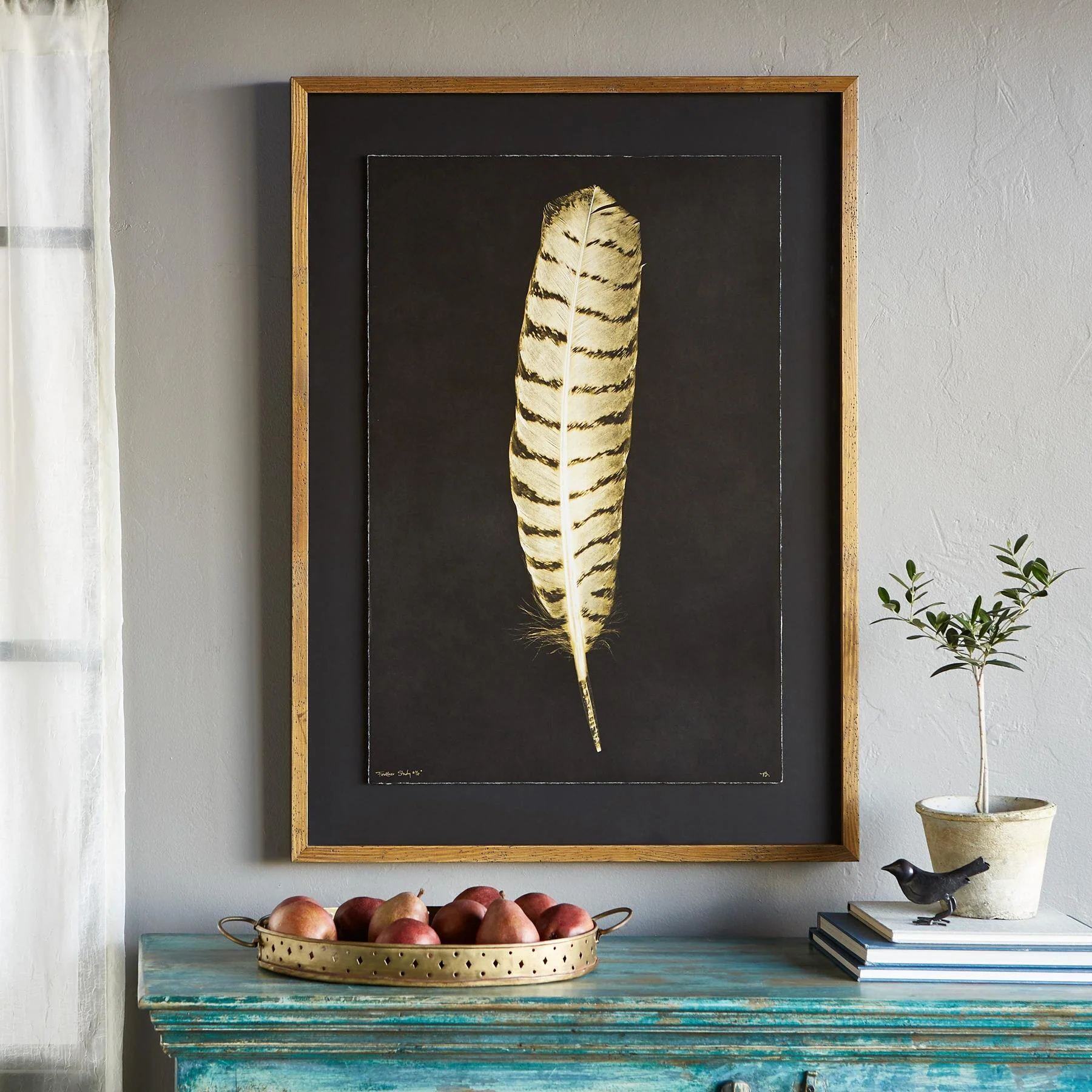 Feather Studies Negatives Prints