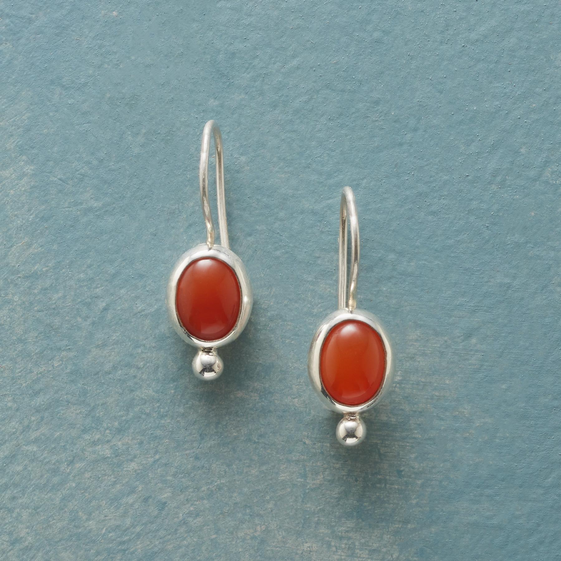 Enough Said Earrings