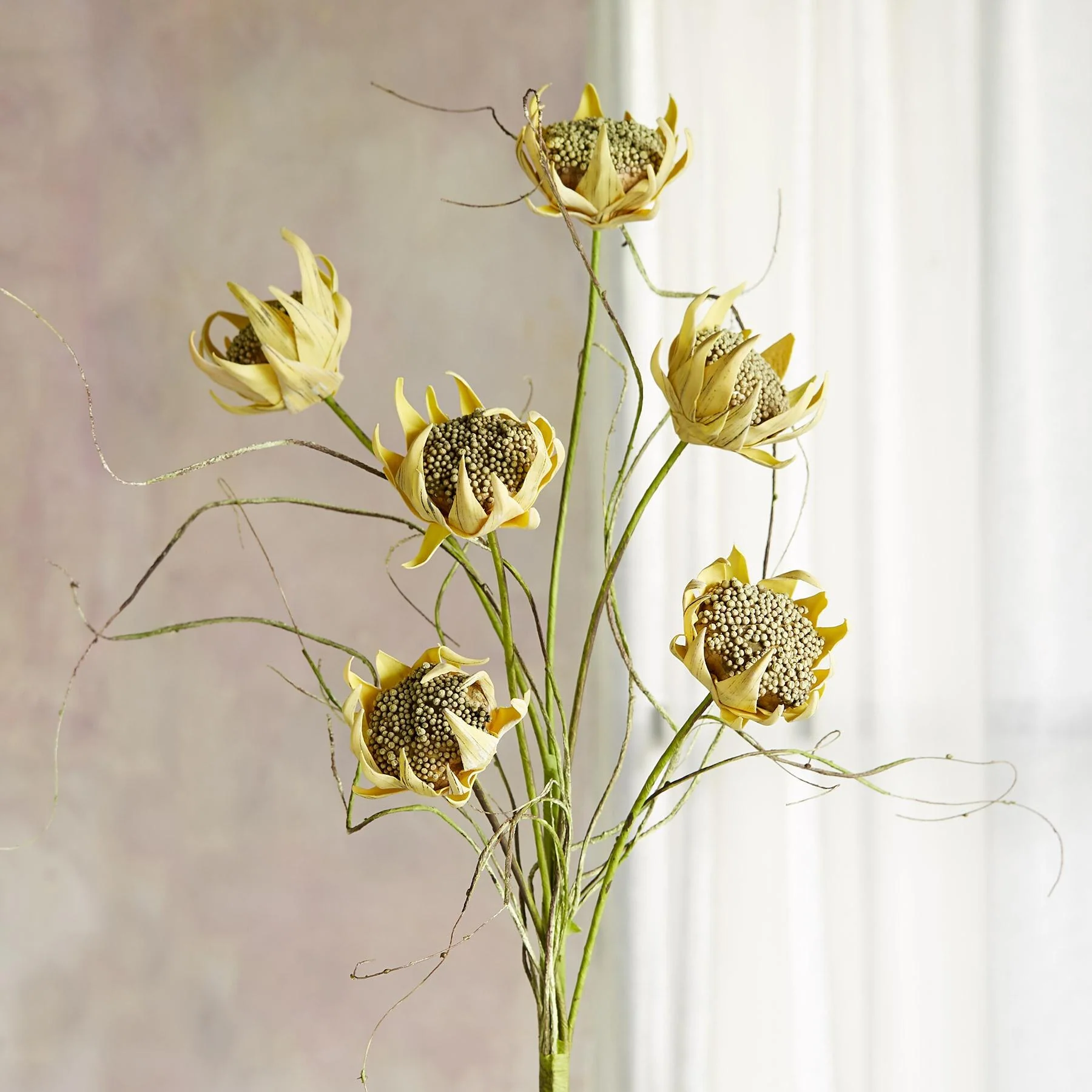 Bountiful Botanicals