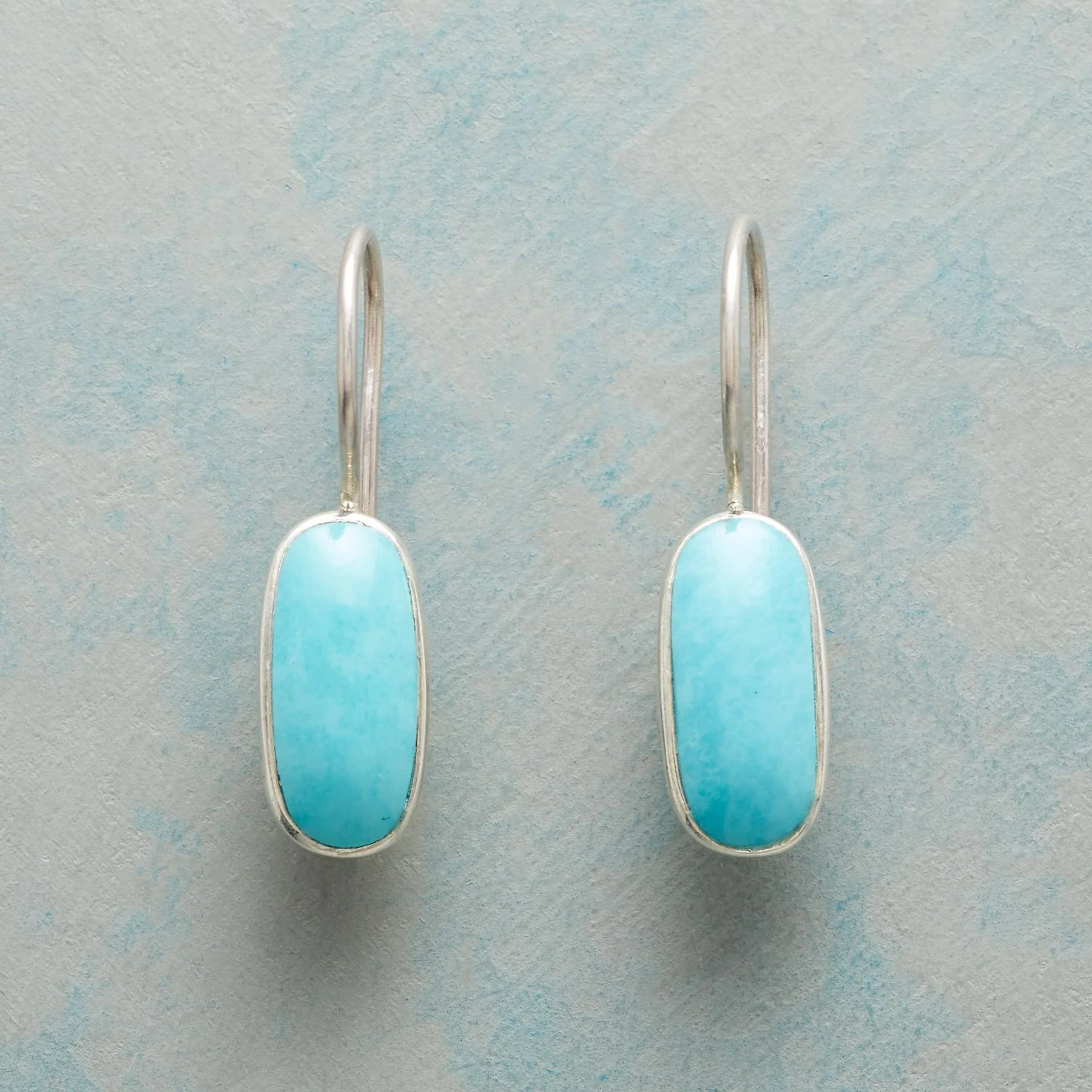 Swayed By Turquoise Earrings