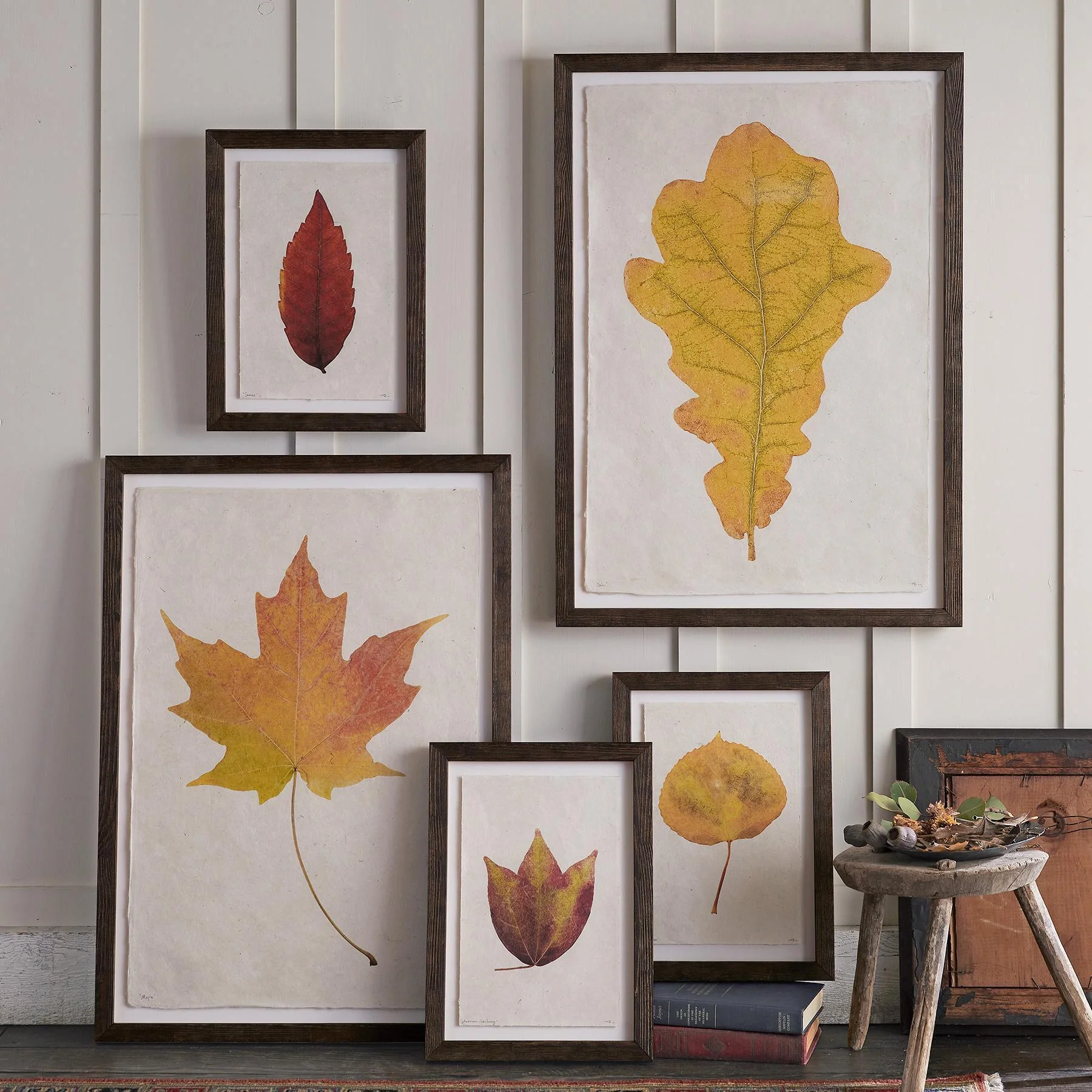 Leaf Studies Print