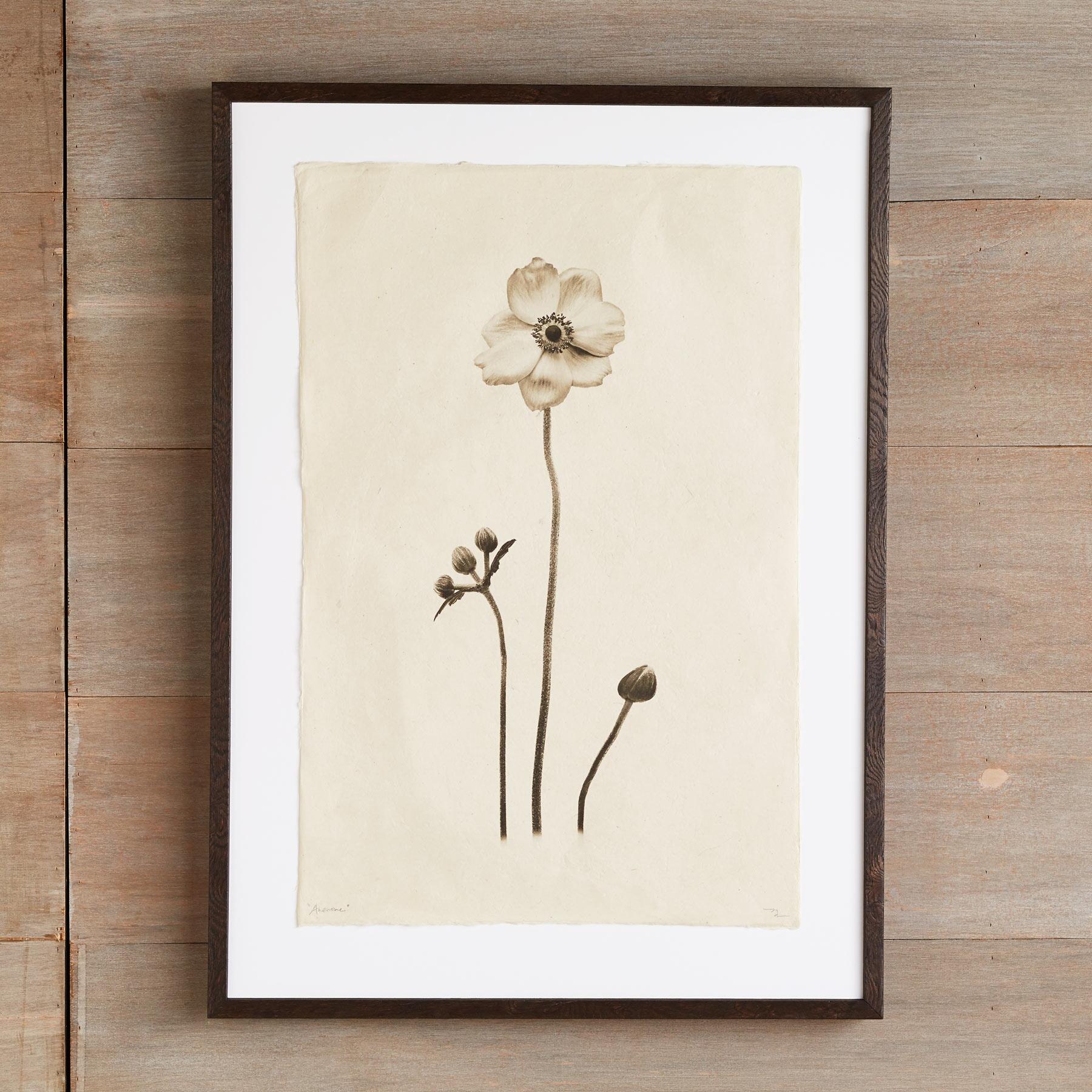 Flower Studies Print