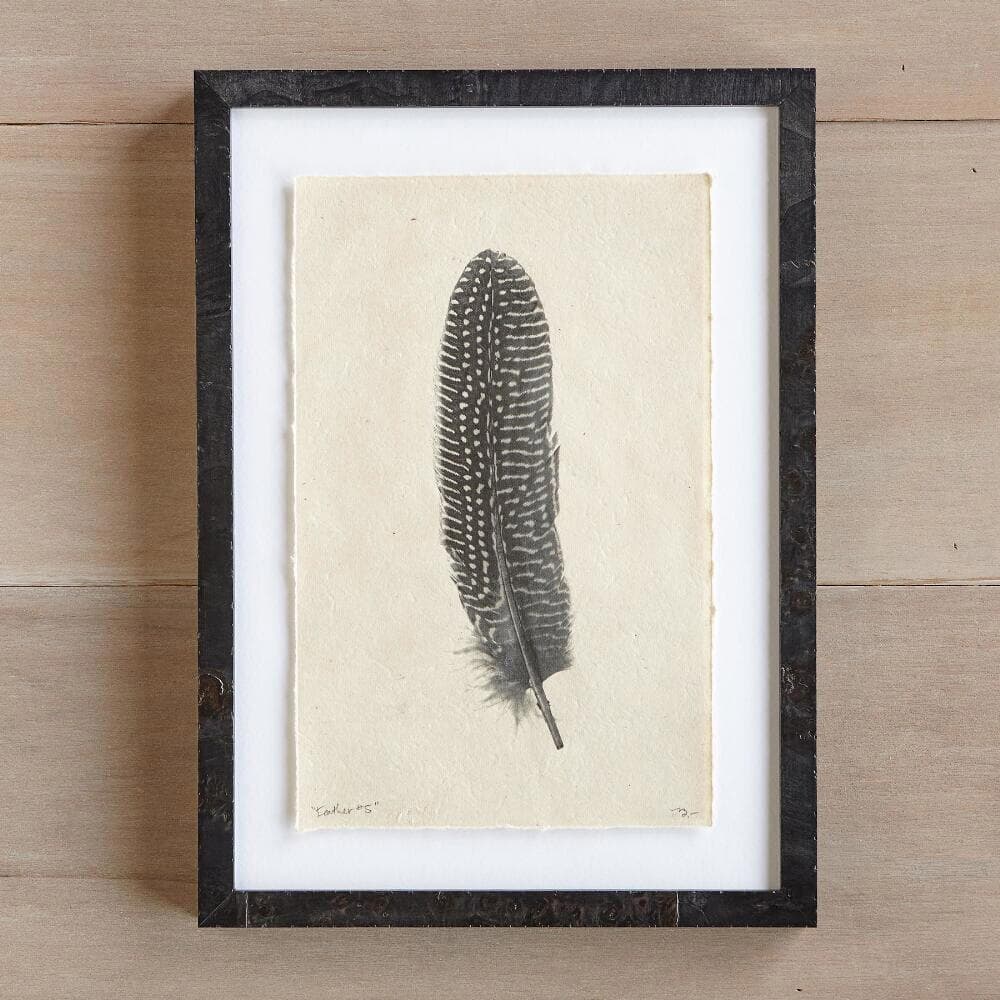 Feather Studies Print