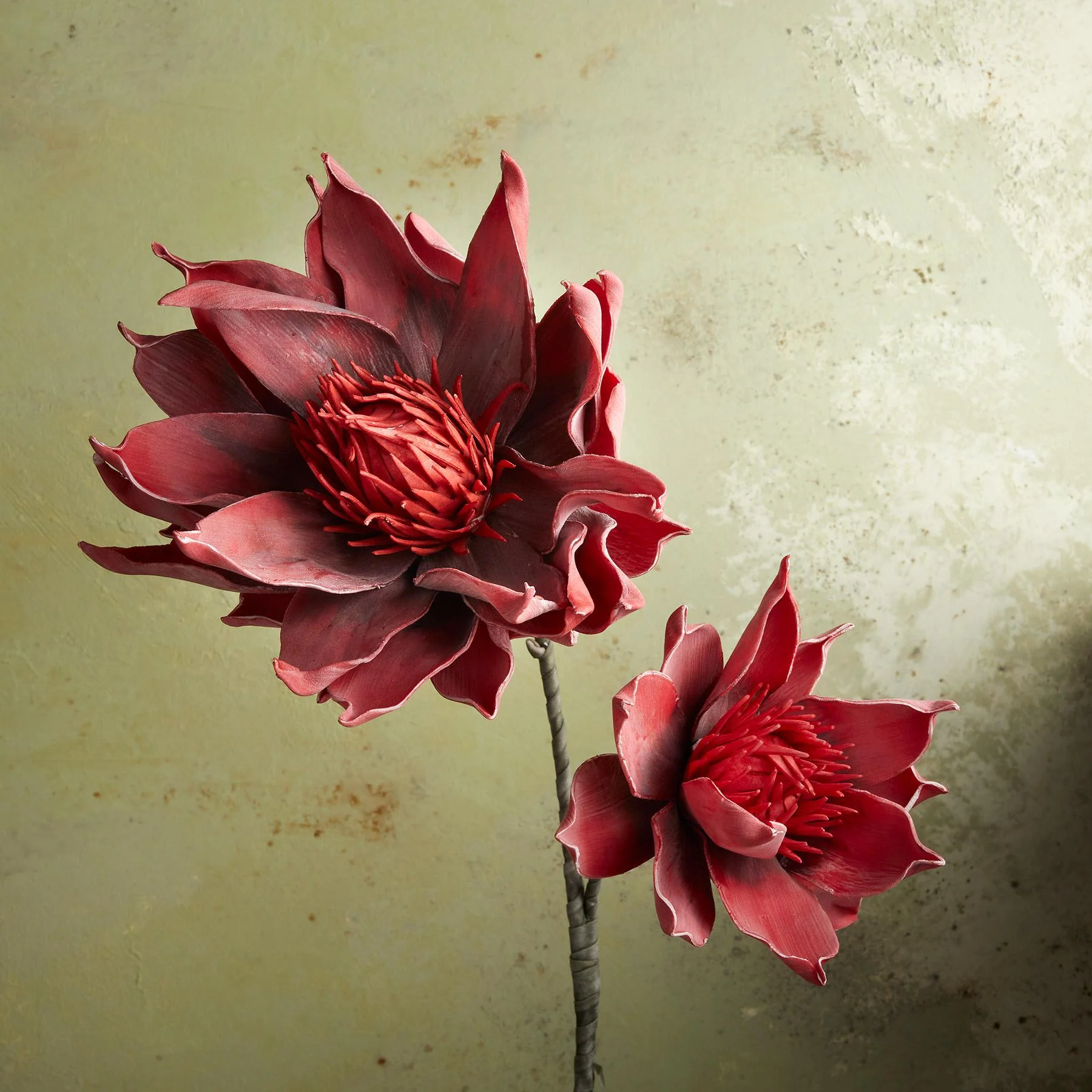 Bountiful Botanicals