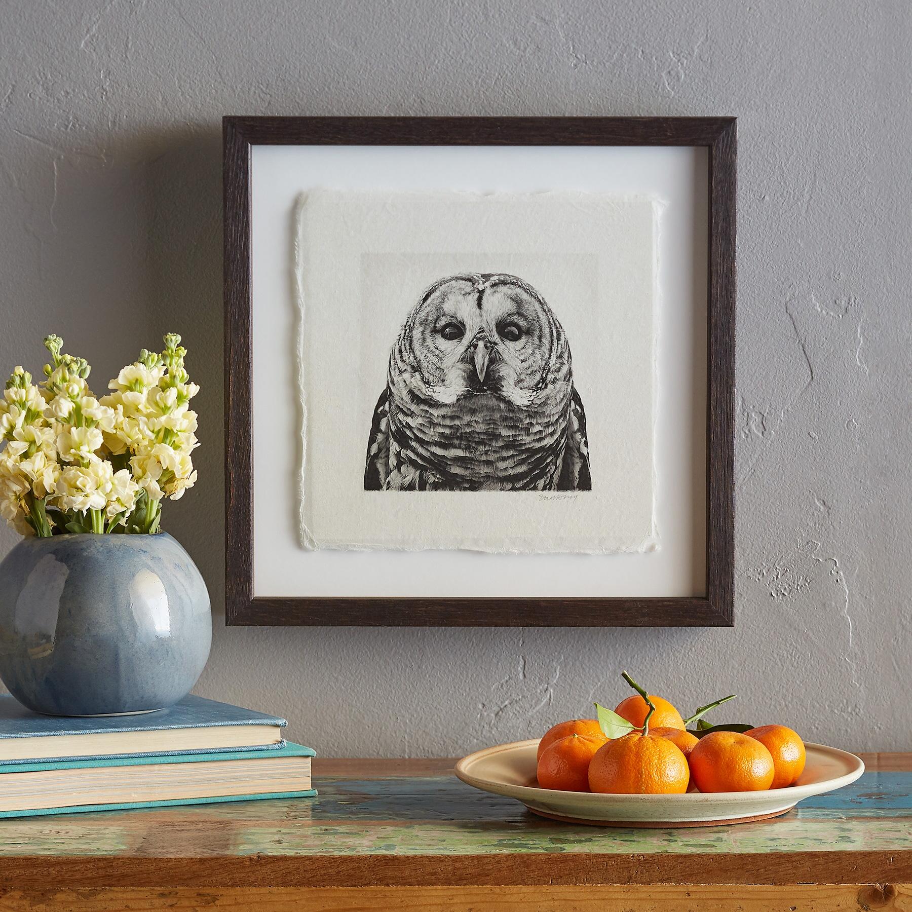 Owl Prints