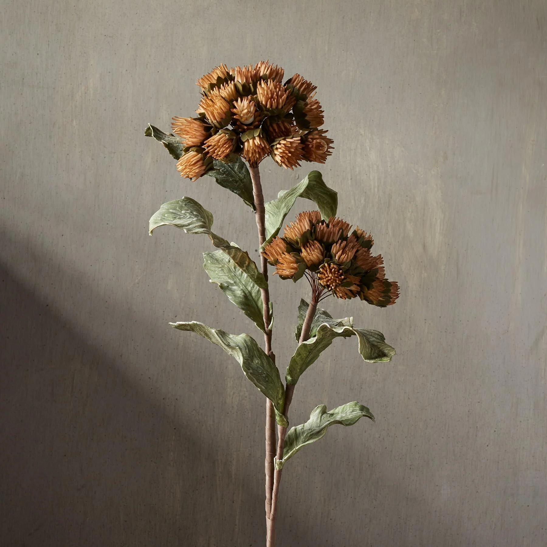 Bountiful Botanicals