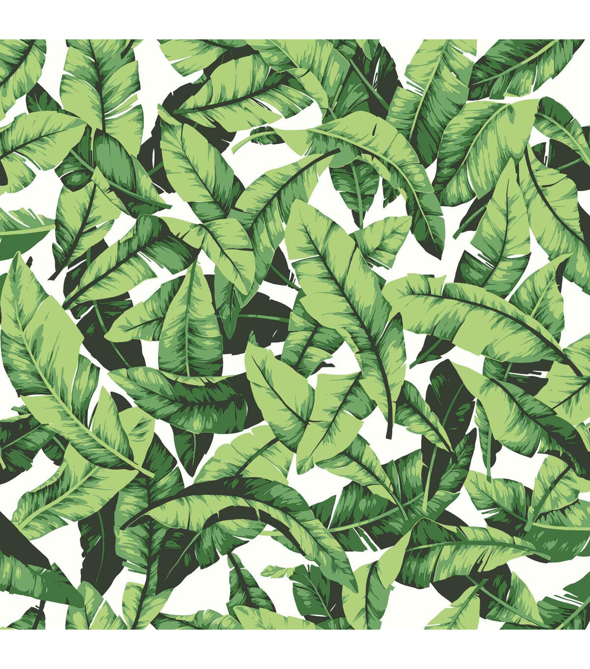 RoomMates Palm Leaf Peelable Wallpaper