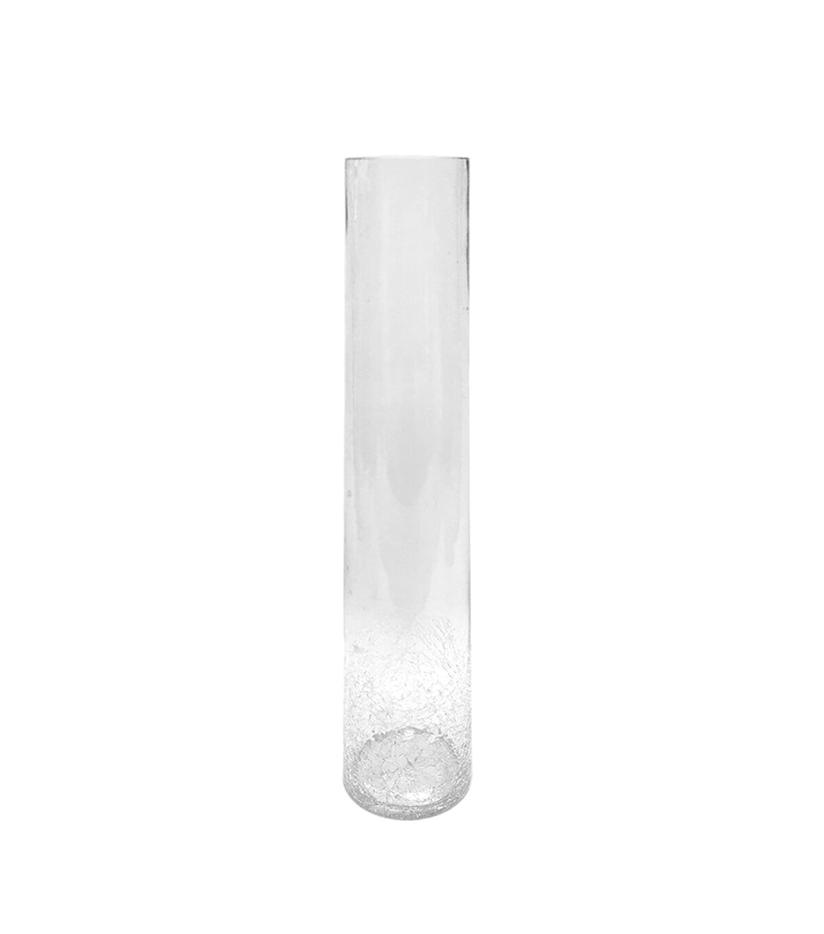 16'' Clear Glass Vase by Bloom Room