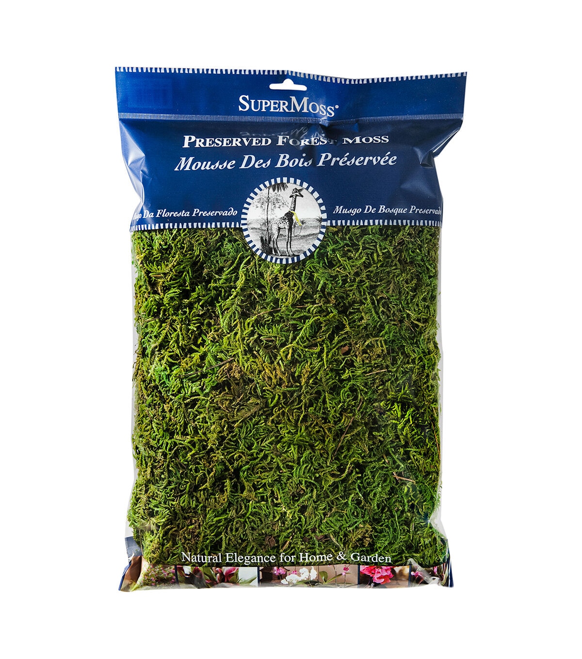 SuperMoss 8oz Green Preserved Fresh Forest Moss