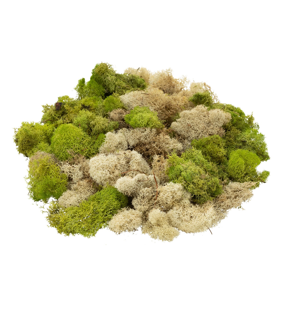Quality Growers Natural & Spring Green Reindeer Moss
