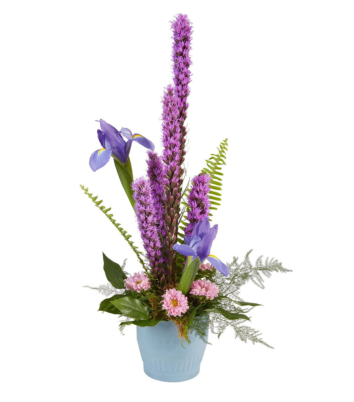 OASIS Ecossentials Planter Cornflower