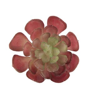 Flora Bunda 12ct Artificial Pink Echeveria Succulent Plants