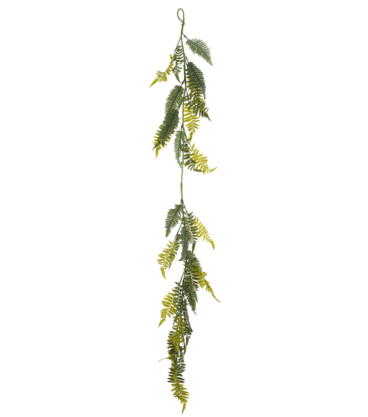 71 Fern Garland by Bloom Room