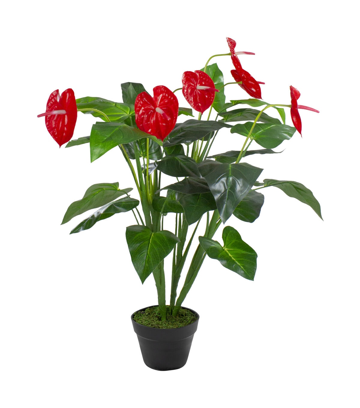Northlight 41 Red and Black Potted Tropical Artificial Anthurium Plant