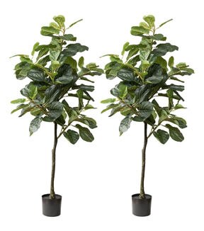 Forever Leaf 60 Artificial Fiddle Leaf Fig Tree With Black Pot 2pk