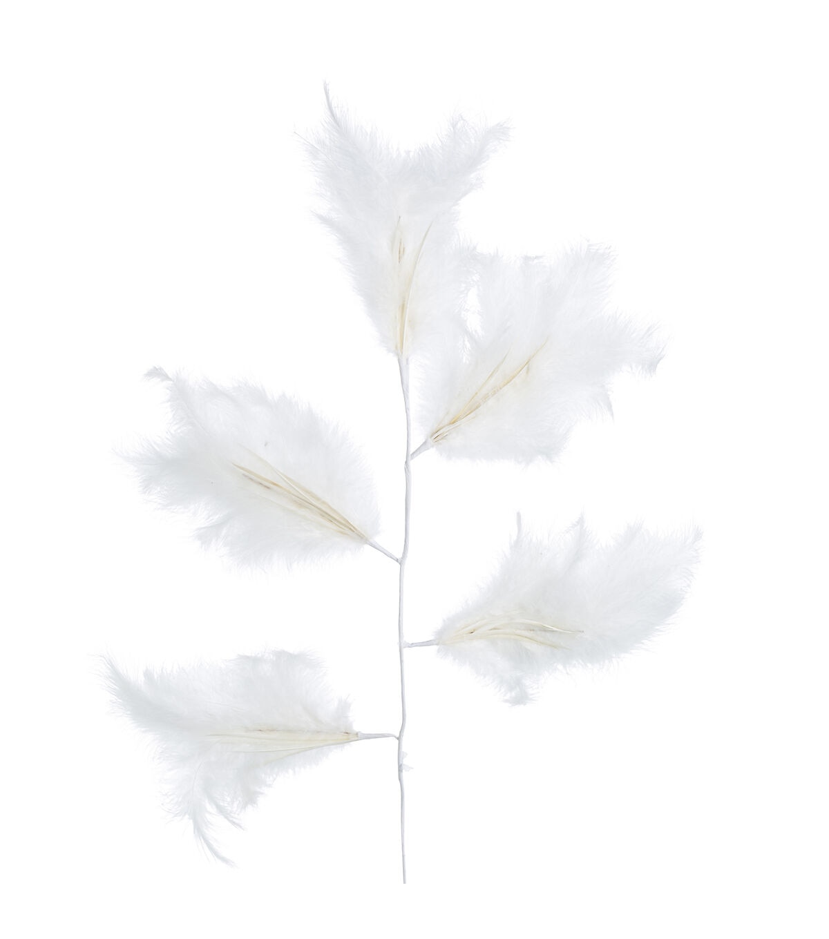 33.5 White Feather Stem by Bloom Room