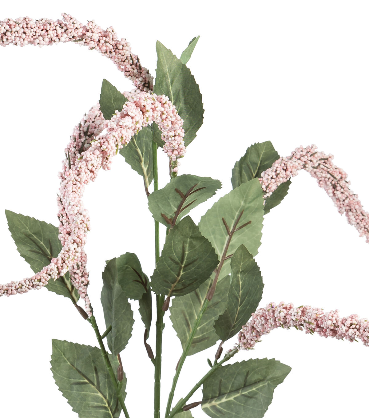 30 Pink Amaranthus Stem by Bloom Room