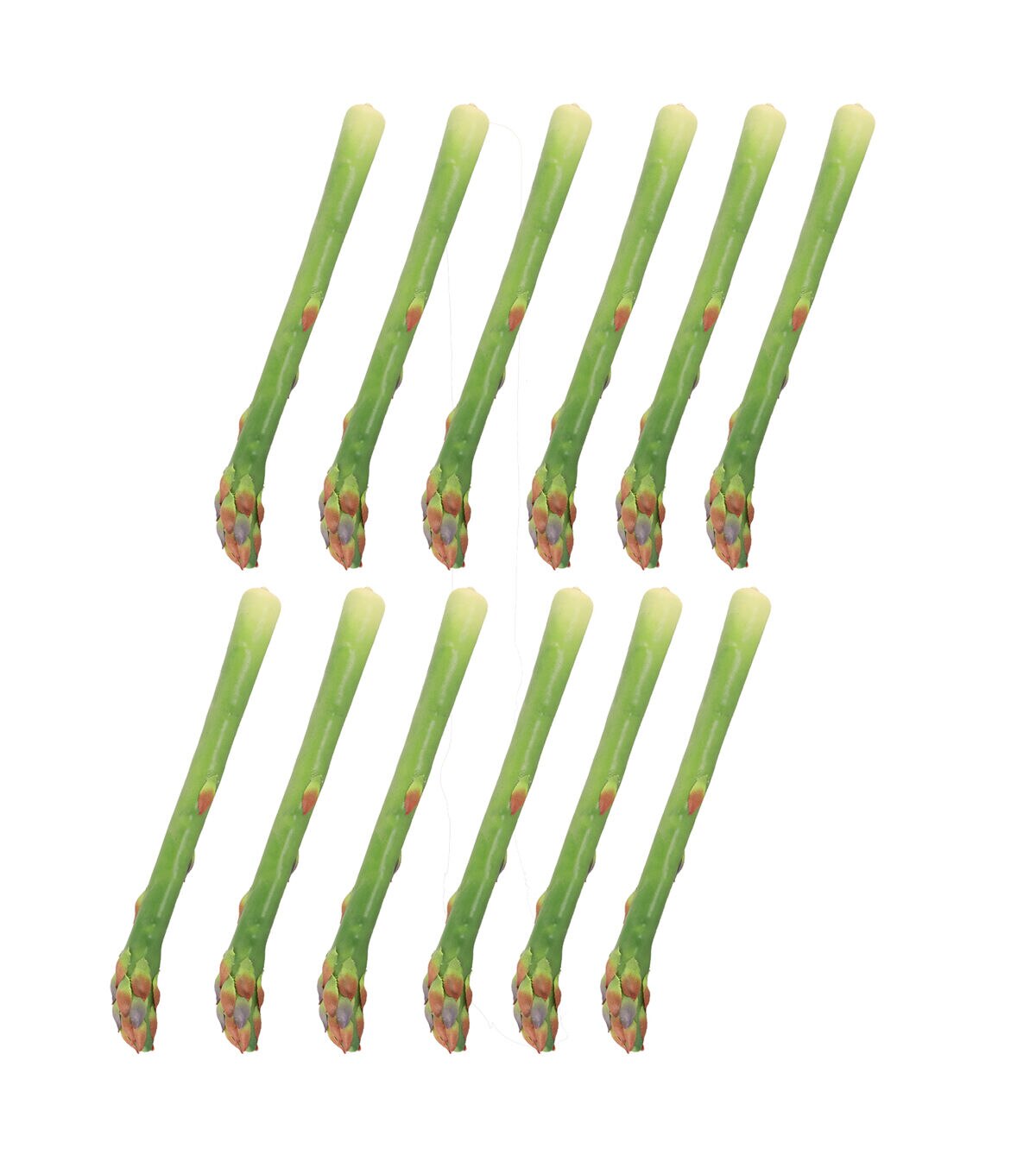 Flora Bunda 12ct Artificial Asparagus