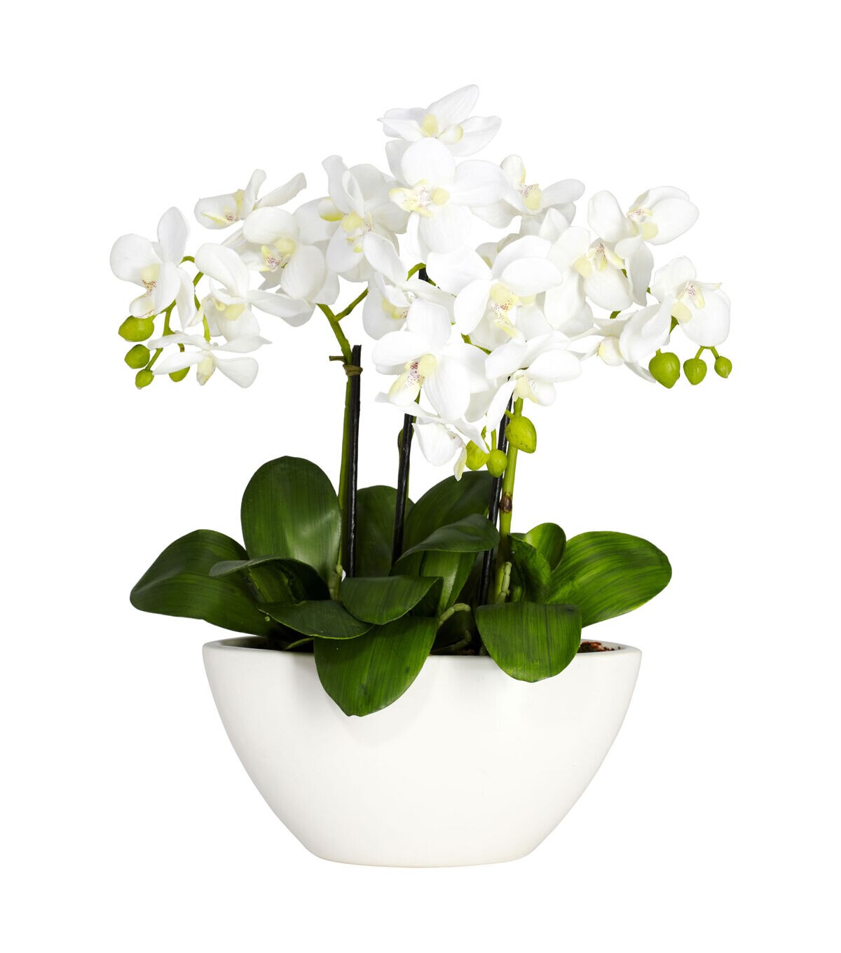 Nearly Natural Phalaenopsis Silk Flower Arrangement