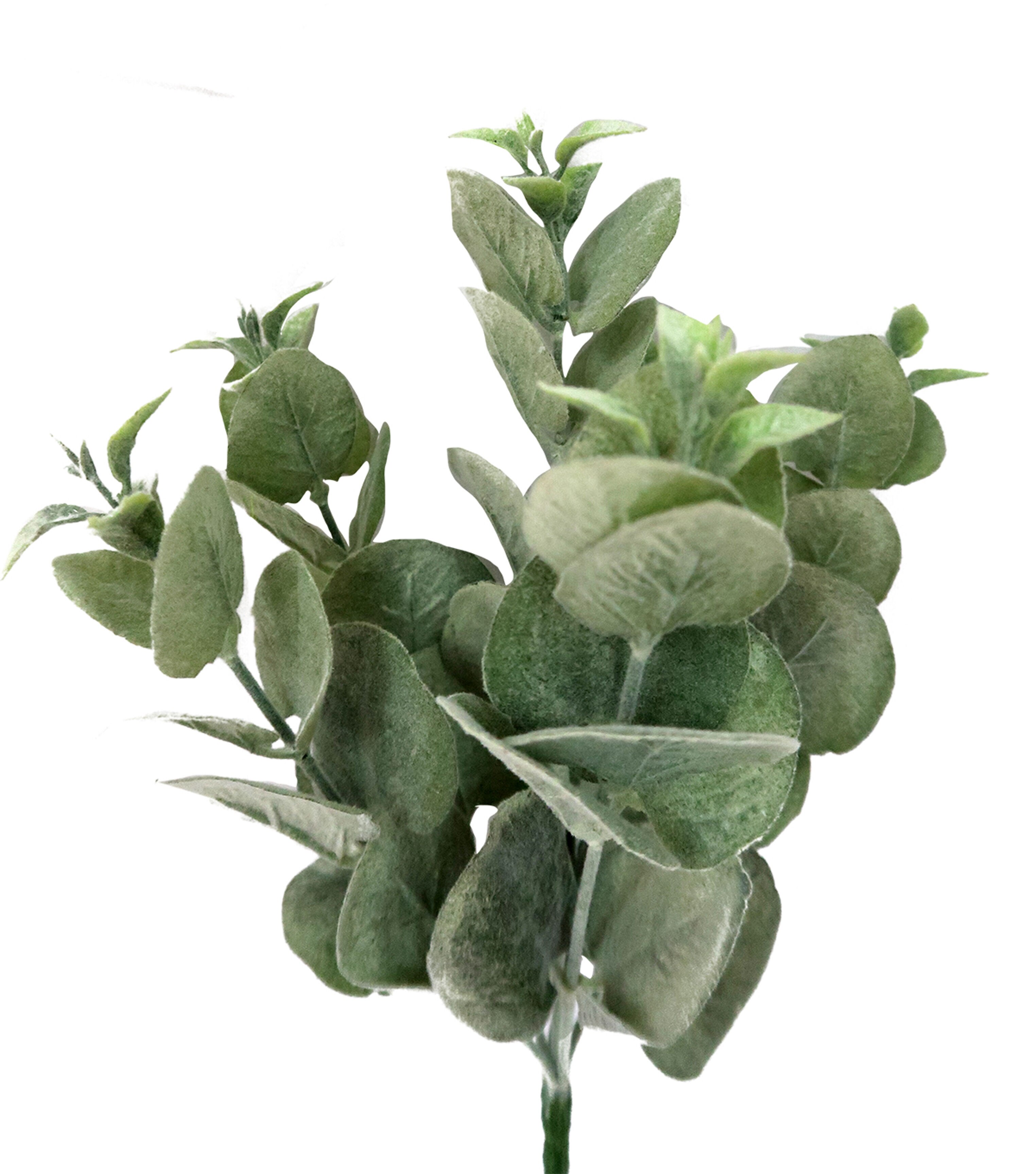 13 Eucalyptus Bush by Bloom Room