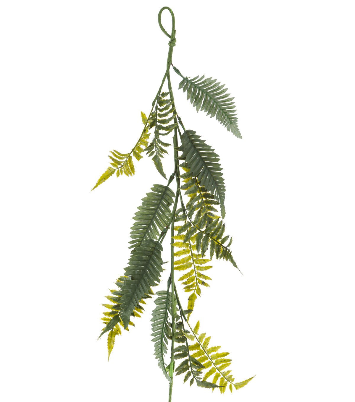 71 Fern Garland by Bloom Room