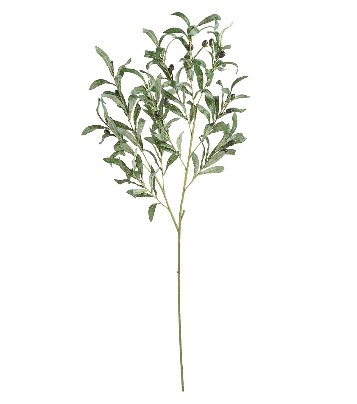 37.5 Greenery & Olive Stem by Bloom Room