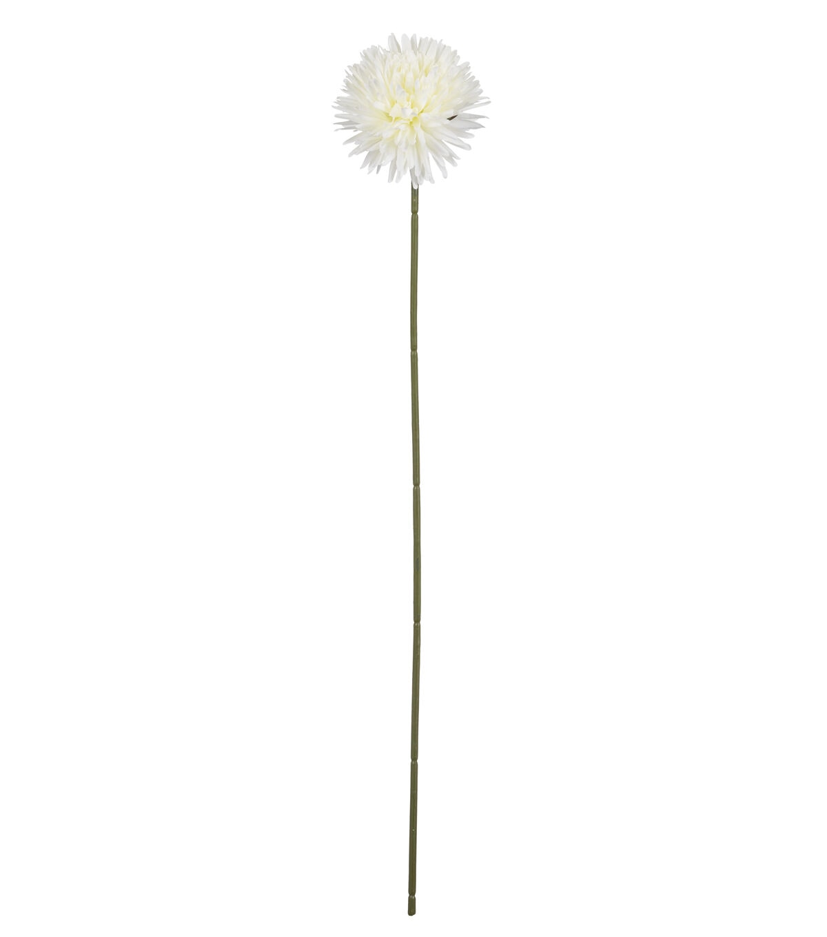 27 White Dandelion Stem by Bloom Room