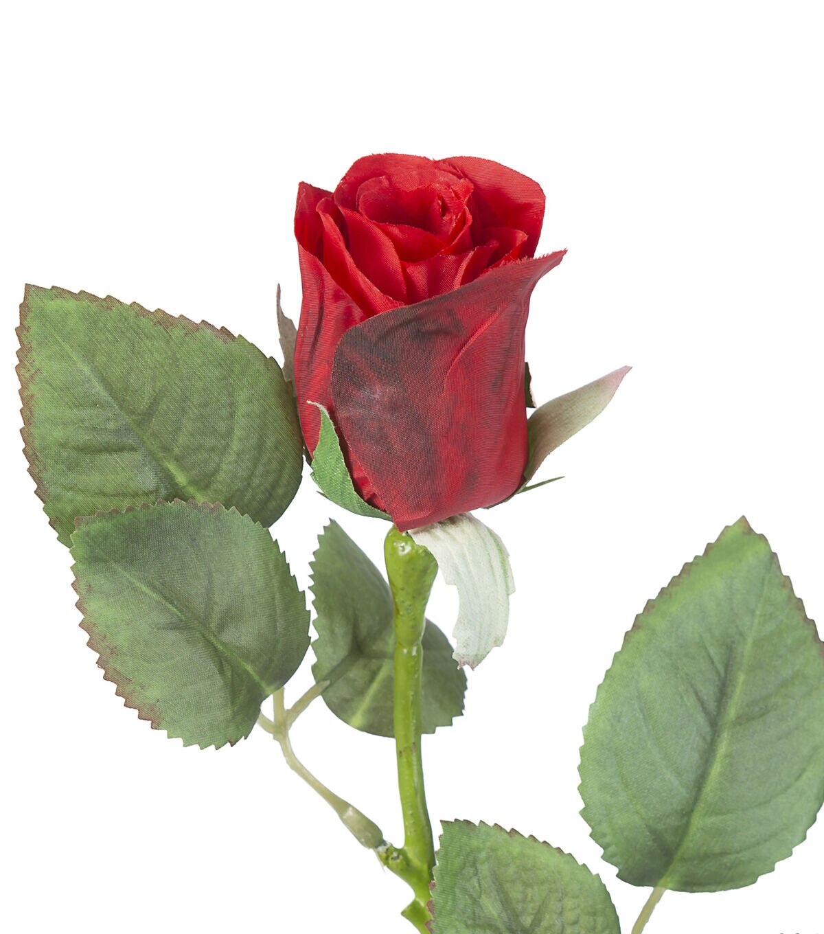 24.5 Red Rose Bud Stem by Bloom Room