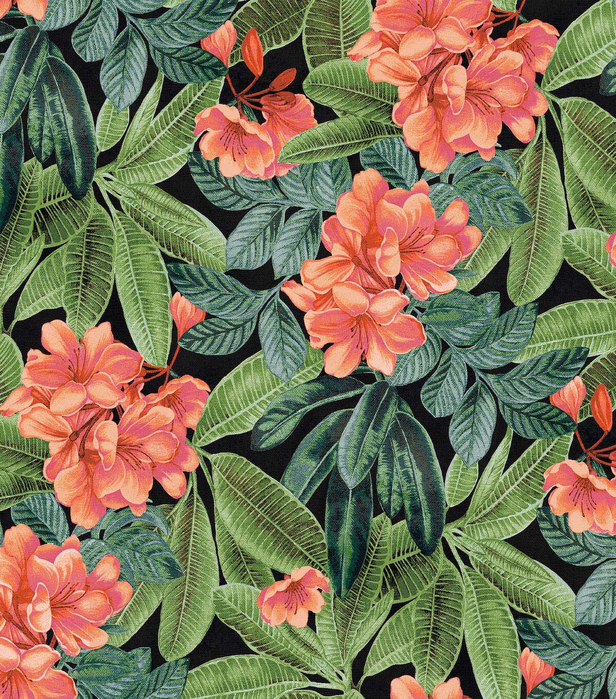 Tommy Bahama 20.5' x 18' Noir Darwin Flora Peel & Stick Wallpaper