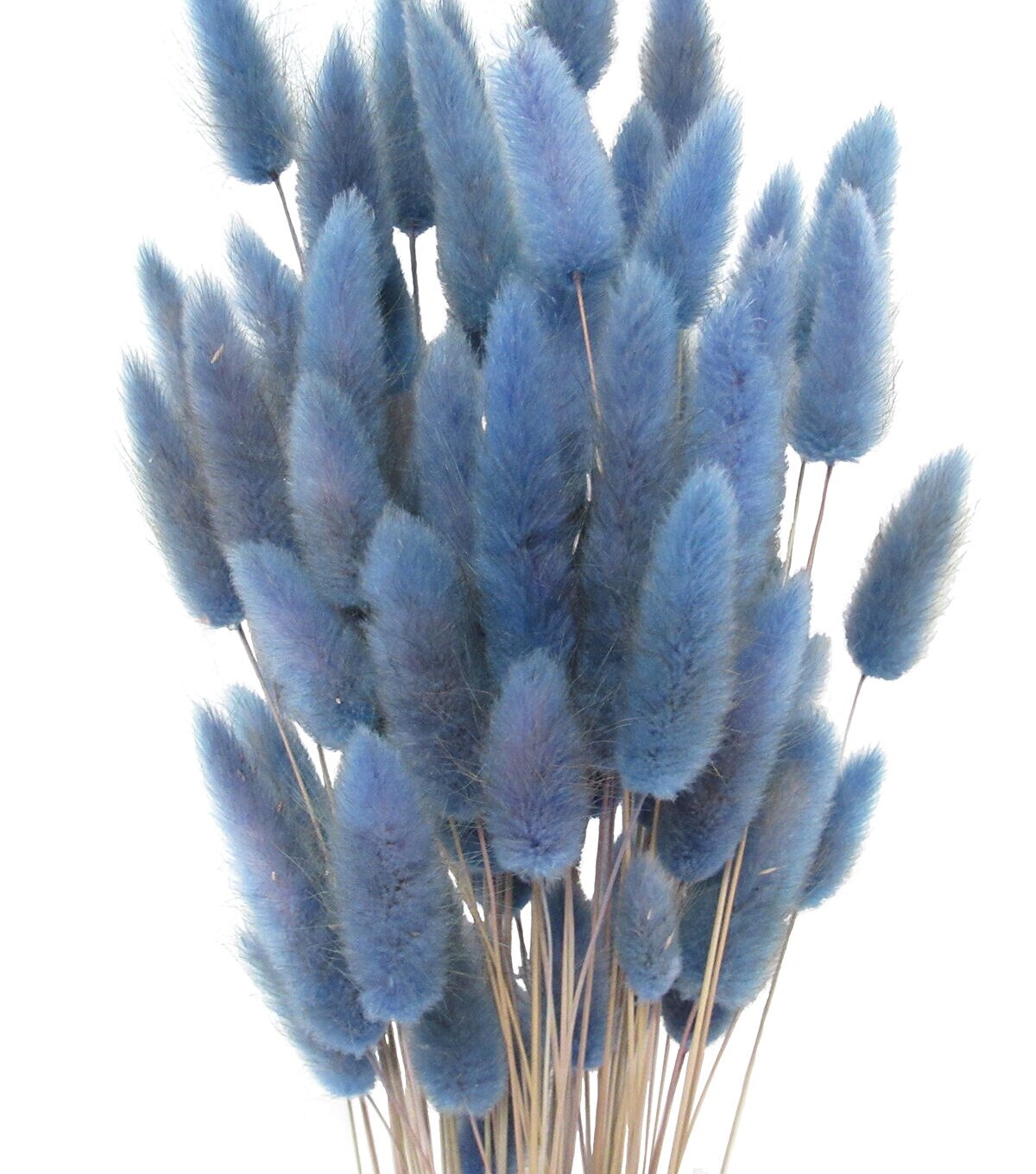 23 Blue Dried Pampas Grass Bouquet by Bloom Room