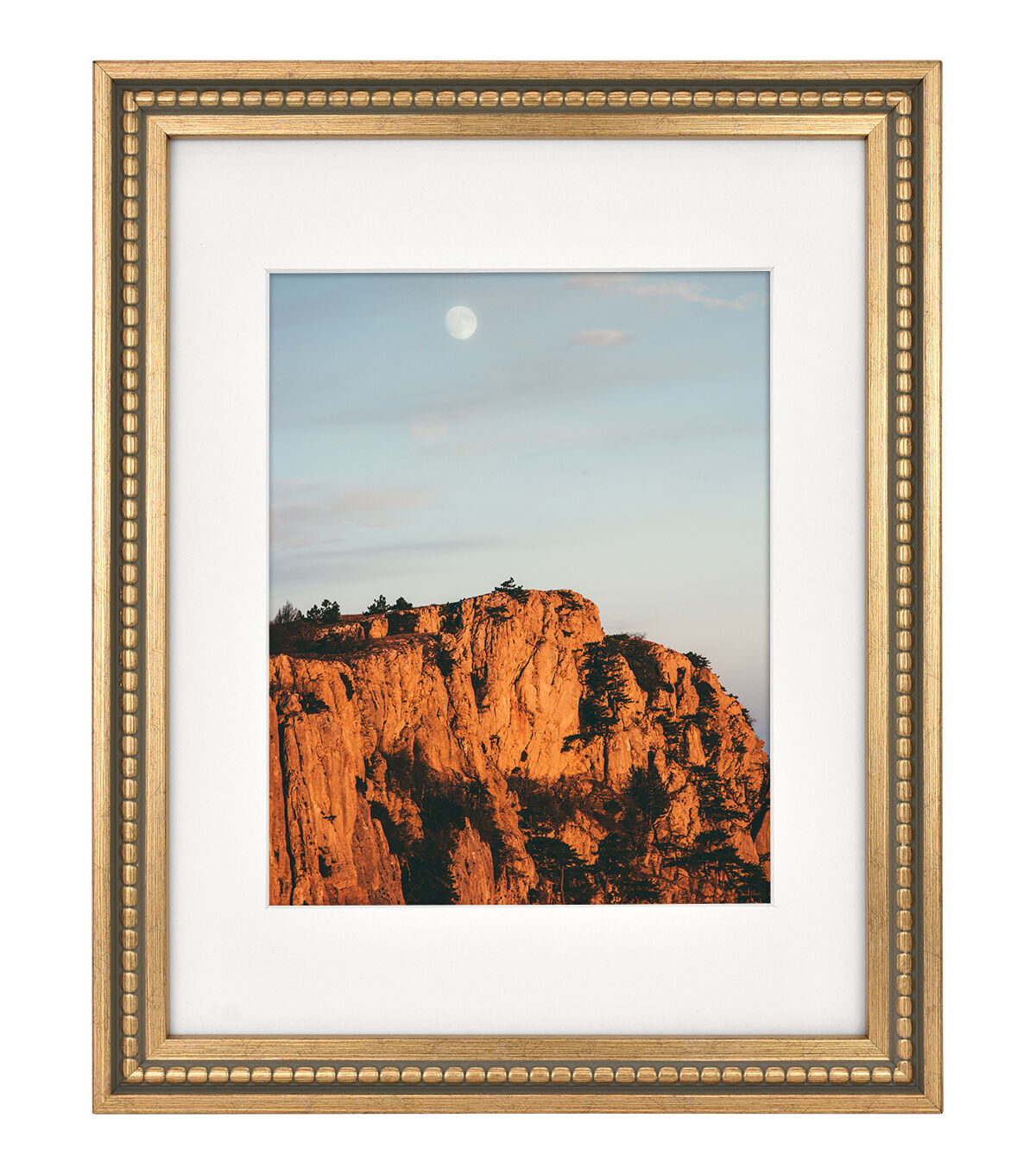 MCS 11x14 Matted to 8x10 Gold Bead Wall Frame