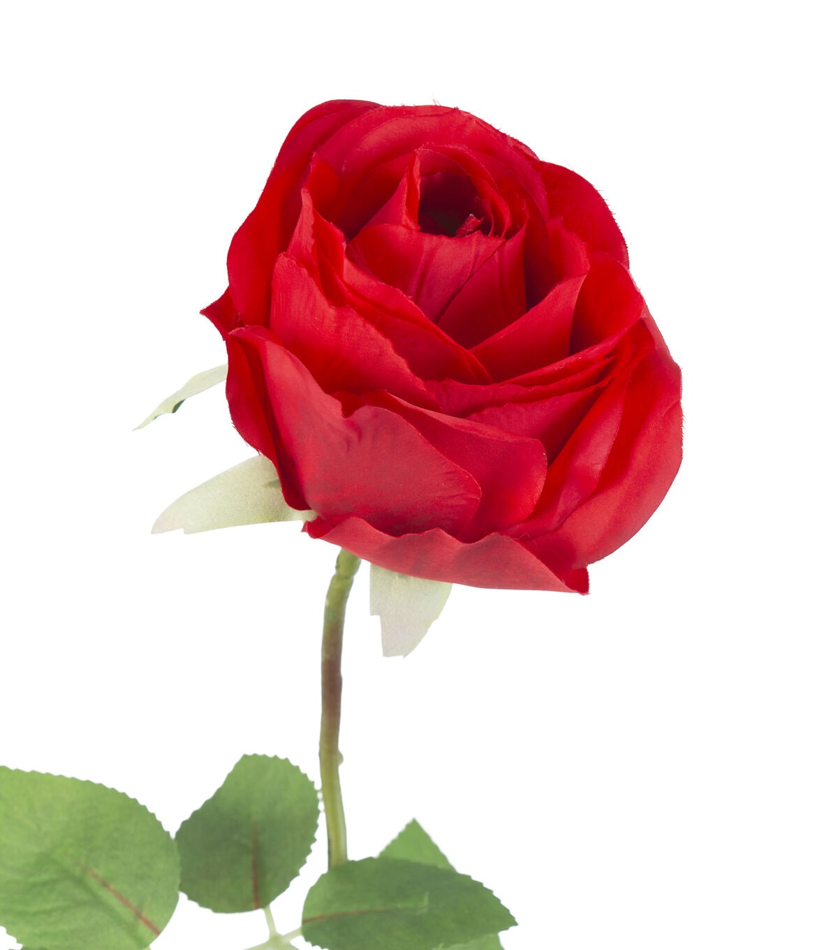 27 Red Confetti Rose Stem by Bloom Room