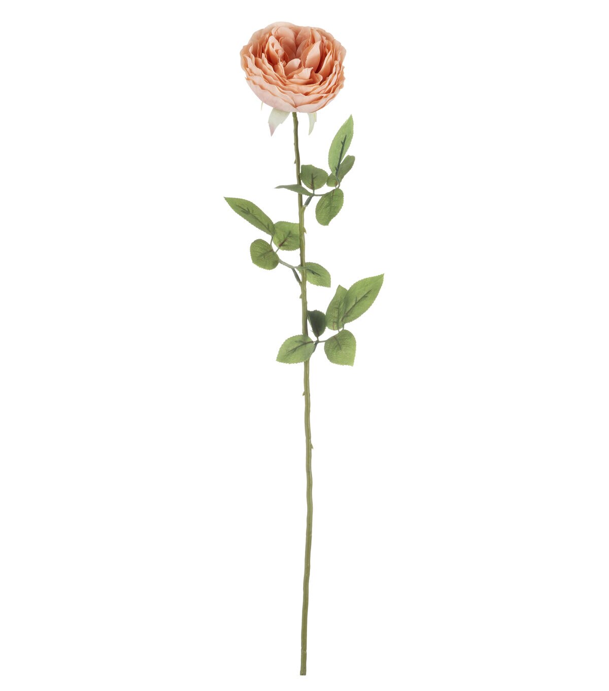 26.5 Peach Garden Rose Stem by Bloom Room
