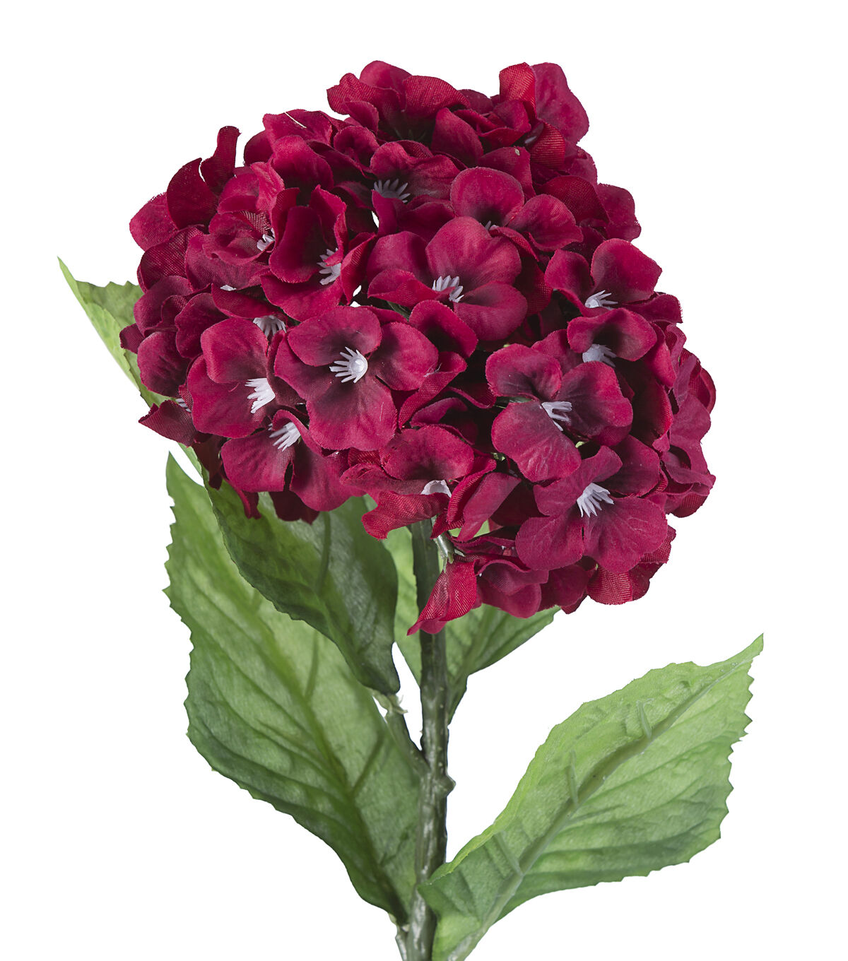 27 Burgundy Hydrangea Stem by Bloom Room