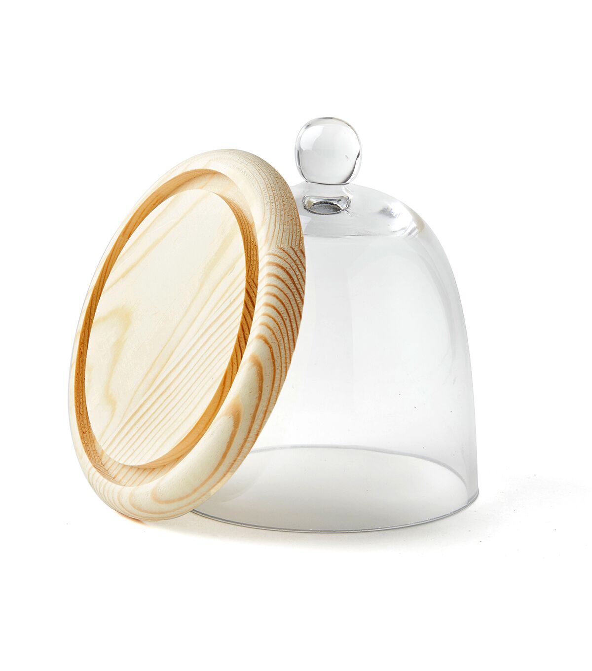 6 Dome Handle Top Glass Terrarium by Park Lane