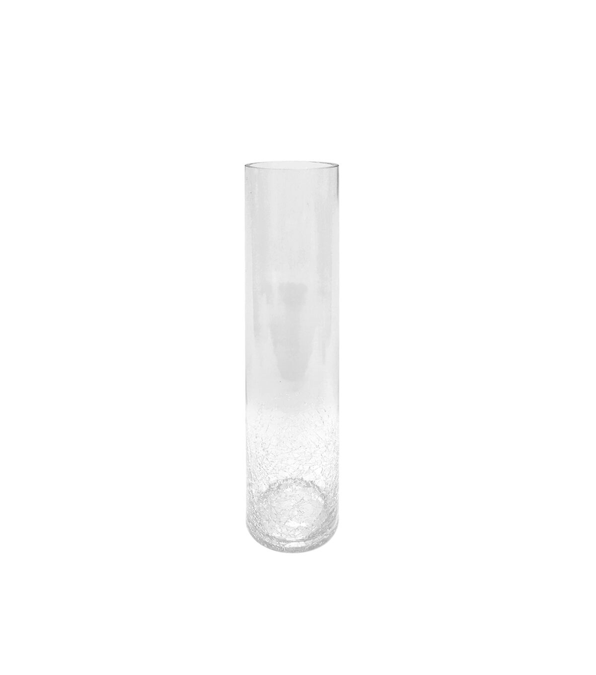 12'' Clear Glass Vase by Bloom Room