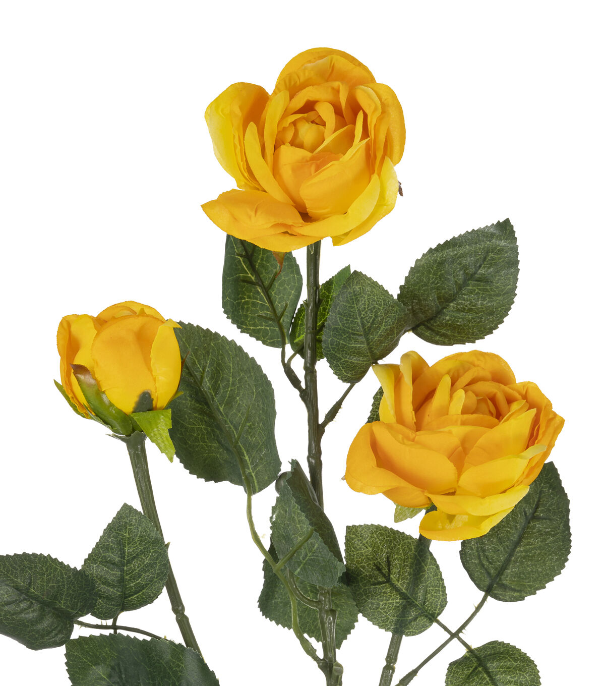 31 Yellow Cabbage Rose Stem by Bloom Room