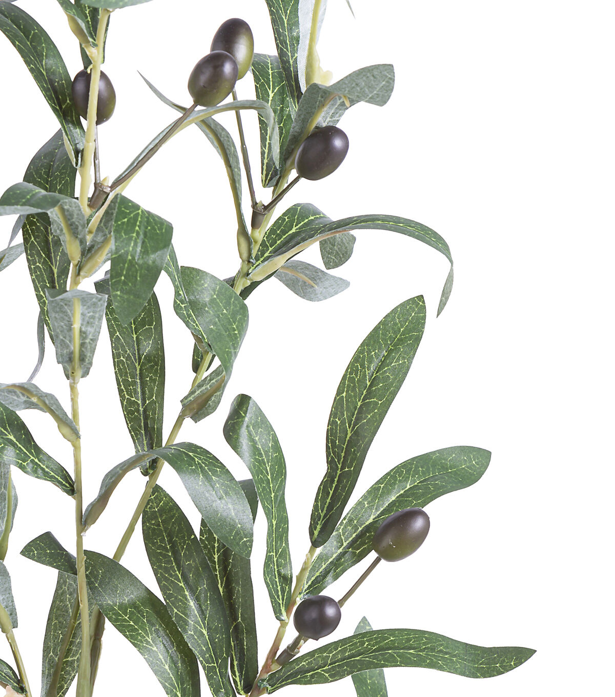 37.5 Greenery & Olive Stem by Bloom Room