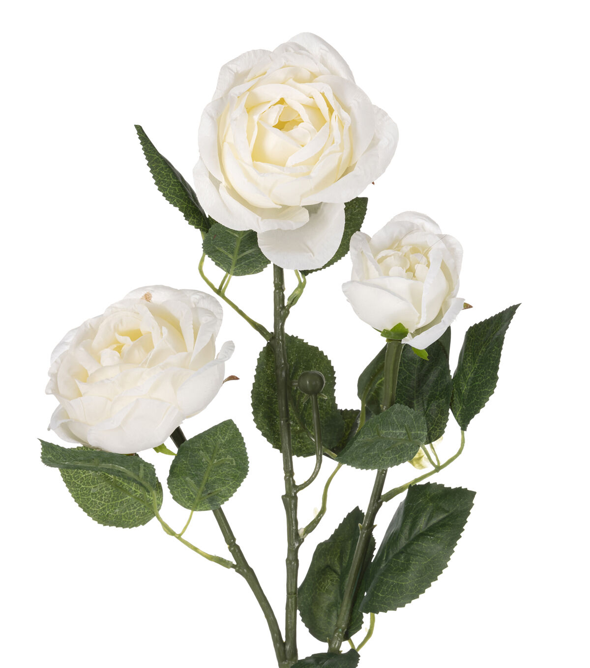 31 Cream Cabbage Rose Stem by Bloom Room