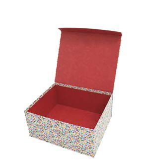 14.5 Multicolor Dots Flip Top Box by Place & Time