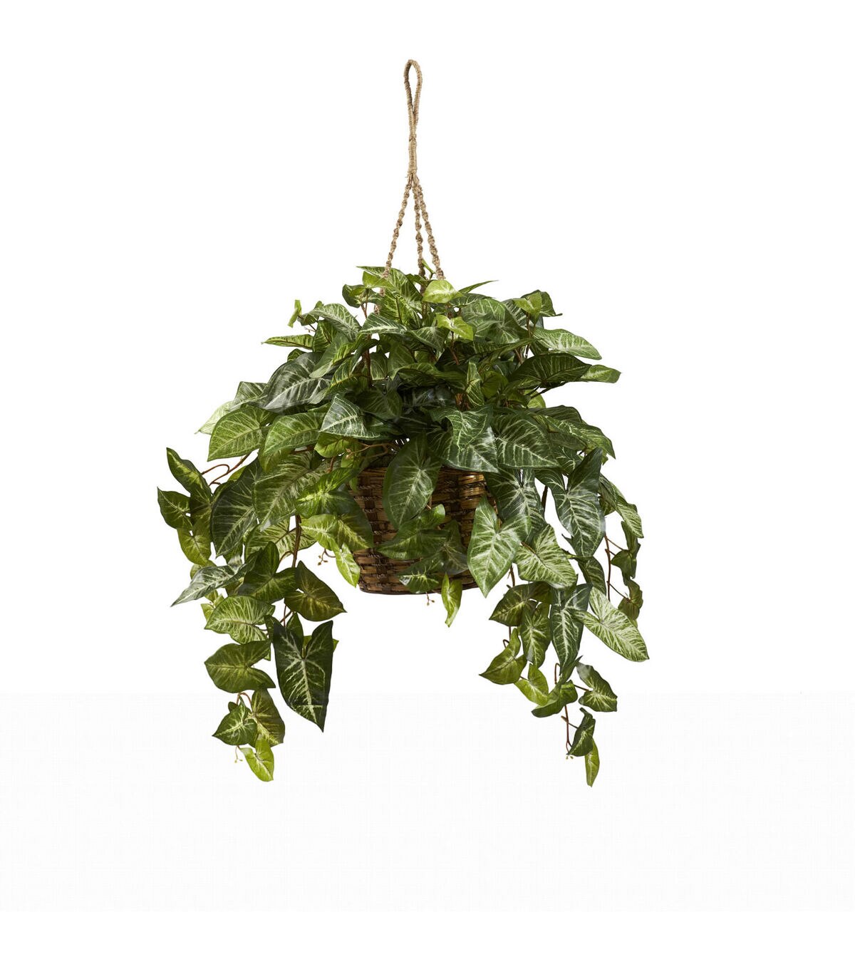 Nearly Natural 24 Nephthytis Hanging Basket