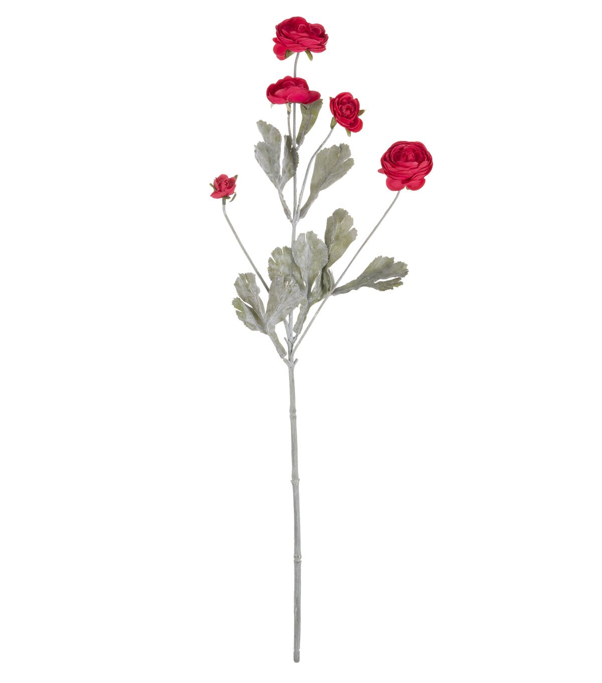 27 Fuchsia Ranunculus Stem by Bloom Room