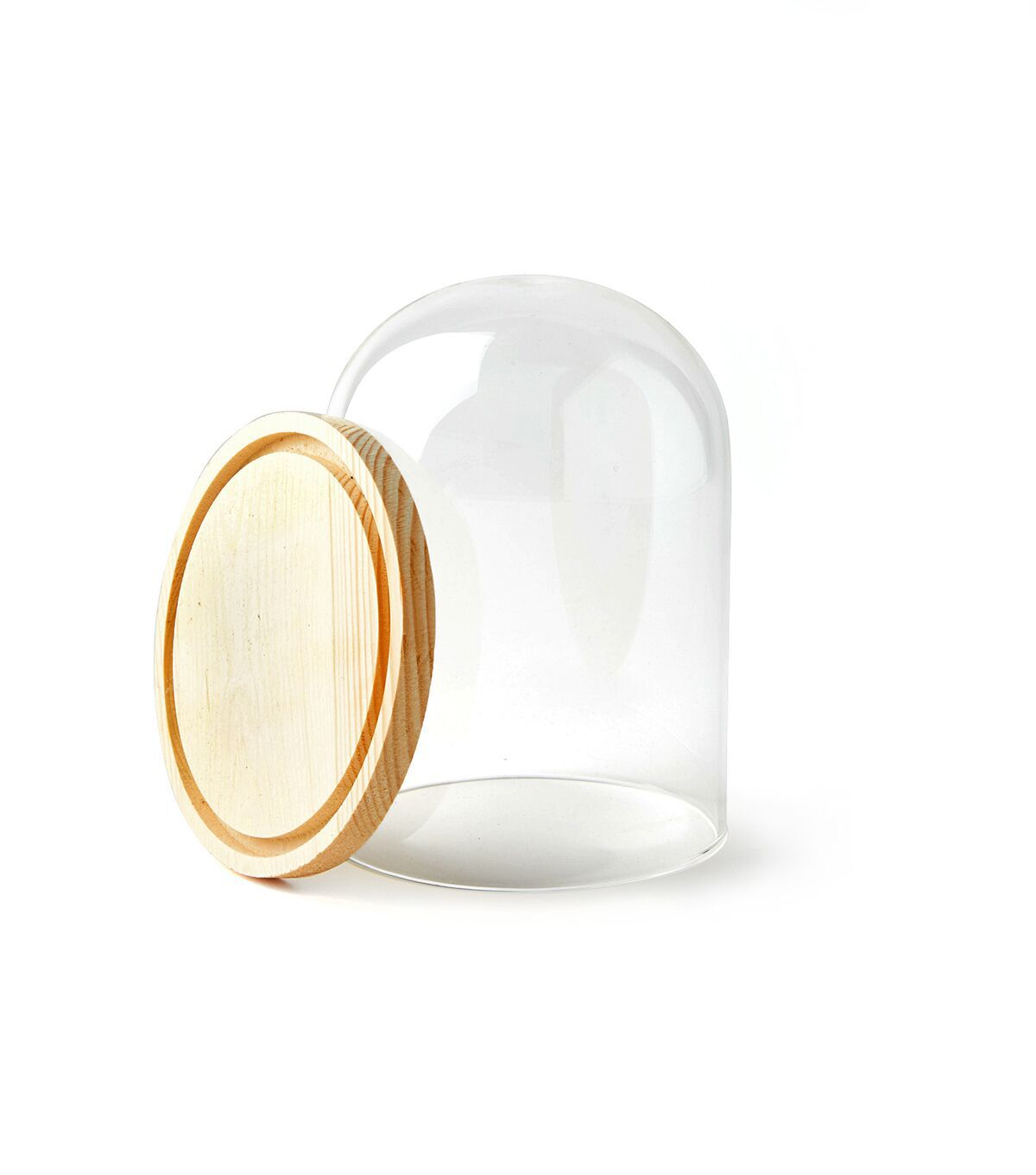 6 Dome Top Glass Terrarium by Park Lane